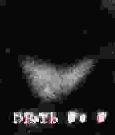File:HSEXETeaserIdk.png