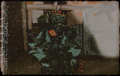 Thumbnail for version as of 12:08, 14 June 2026