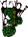 Thumbnail for version as of 00:14, 5 August 2026