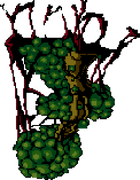 Matango Hive's down pose.