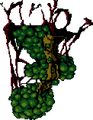 Thumbnail for version as of 00:06, 5 August 2026